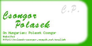 csongor polasek business card